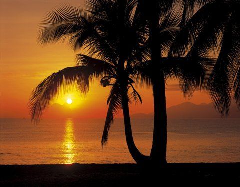 Фото шпалери Панно KOMAR Palmy Beach Sunrise паперові миючі 8-255 (368х254 см) 8-255 фото