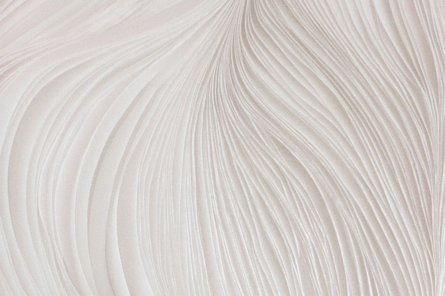 Флизелиновые обои винил горячего тиснения Erismann Fashion for walls 5 12250-05 Бежевый (1,06х10,05м) 12250-05 фото