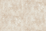Флізелінові шпалери вініл гарячого тиснення AS Creation Deluxe Luxe 39950-1 бежевий (1,06х10,05м) 39950-1 фото