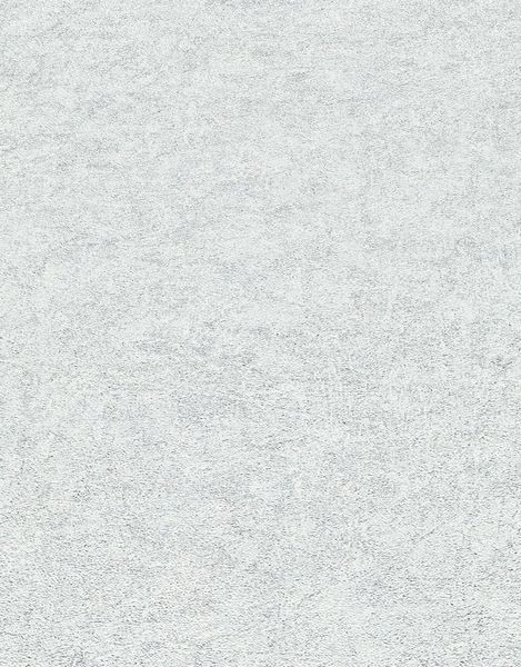Флизелиновые обои винил горячего тиснения Erismann Fashion for Walls 4 12187-31 светло-серый (1,06х10,05м) 12187-31 фото
