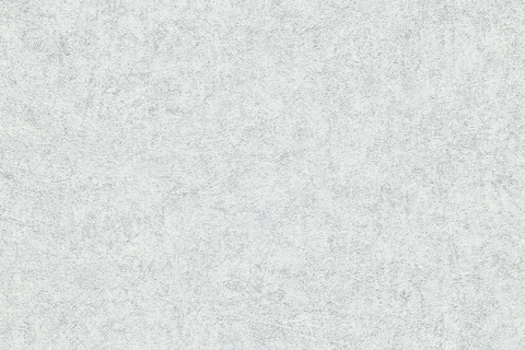 Флізелінові шпалери вініл гарячого тиснення Erismann Fashion for Walls 4 12187-31 світло-сірий (1,06х10,05м) 12187-31 фото