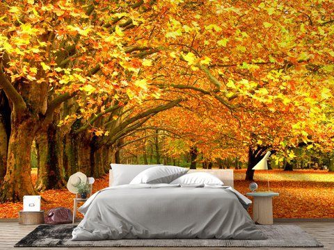 Фотообои флизелиновые Print-walls осеннее утро 0258 100&times;100 см (Ш&times;В) 0258 фото