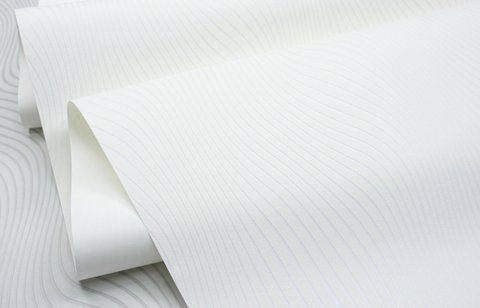 Флізелінові шпалери спінений вініл SINTRA Delight UNI 535202 Білий (1,06х10,05м) 535202 фото