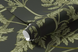 Фотошпалери флізелінові Walldeco Журавлі та квіти w00380v2 Зелений 100х100 см w00380v2 фото 2