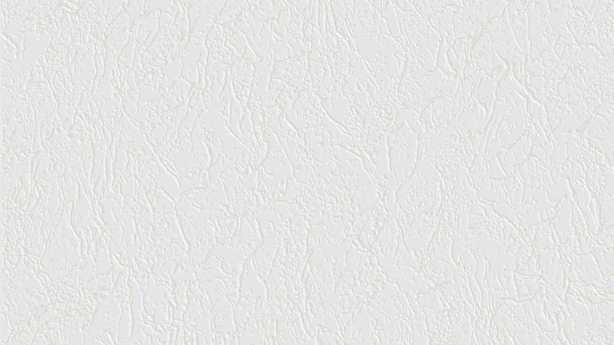 Флізелінові шпалери спінений вініл SINTRA Paint It 805039 Білий (1,06х10,05м) 805039 фото