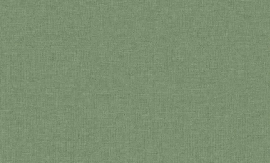 Флізелінові шпалери вініл гарячого тиснення Erismann Casual Chic 12143-07 Зелений (1,06х10,05м) 12143-07 фото