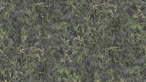 Флізелінові шпалери вініл гарячого тиснення SINTRA Herbarium 252932 зелено-графітовий (1,06х10,05м) 252932 фото