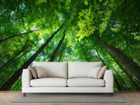 Фотообои флизелиновые Print-walls волшебное лесное дыхание 0284 100&times;100 см (Ш&times;В) 0284 фото