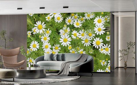 Фотообои флизелиновые Print-walls ромашки 0217 100&times;100 см (Ш&times;В) 0217 фото