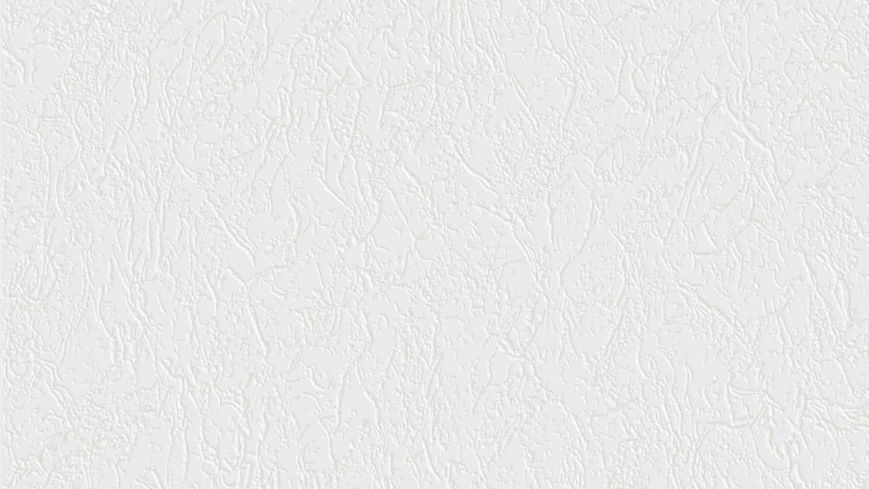 Флізелінові шпалери спінений вініл SINTRA Paintbox 696200 Білий (1,06х25м) 696200 фото