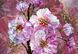 Фото обои Панно KOMAR Blooming Gems флизелиновые моющиеся XXL4-064 (368х248 см) XXL4-064 фото 1
