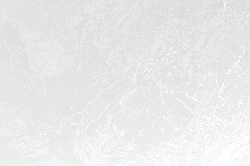 Флизелиновые обои винил горячего тиснения A.S. Creation Delicate 79287-3 белый (1,06х10,05м) 79287-3 фото