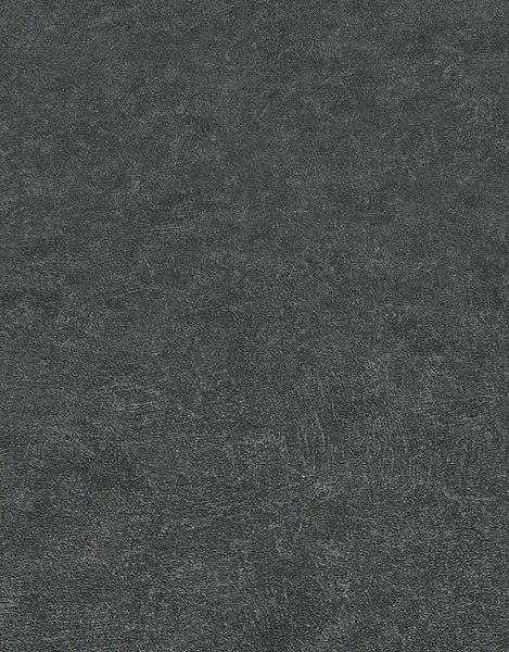 Флизелиновые обои винил горячего тиснения Erismann Fashion for Walls 4 12187-15 черный (1,06х10,05м) 12187-15 фото